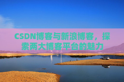 CSDN博客与新浪博客，探索两大博客平台的魅力